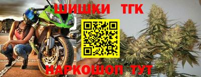 стаф Шелехов