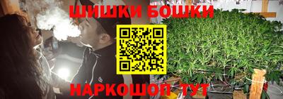 стаф Шелехов
