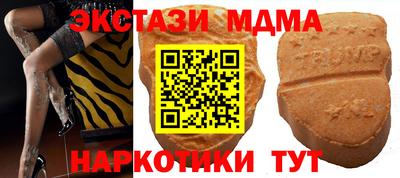 стаф Шелехов