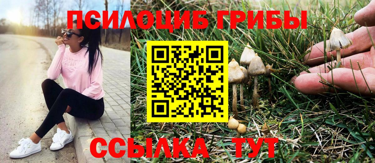Галлюциногенные грибы Magic Shrooms  Вход с VPN  Белогорск  Псилоцибиновые грибы мухоморы 